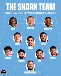 卡马文加在圣马梅斯的光芒与遗憾：进球后遭遇伤病打击